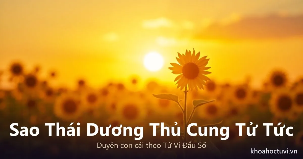 Sao Thái Dương thủ cung Tử Tức — luận giải Tử Vi Đẩu Số