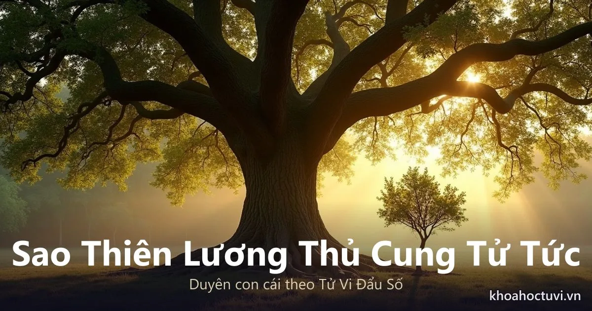 Sao Thiên Lương thủ cung Tử Tức — luận giải Tử Vi Đẩu Số