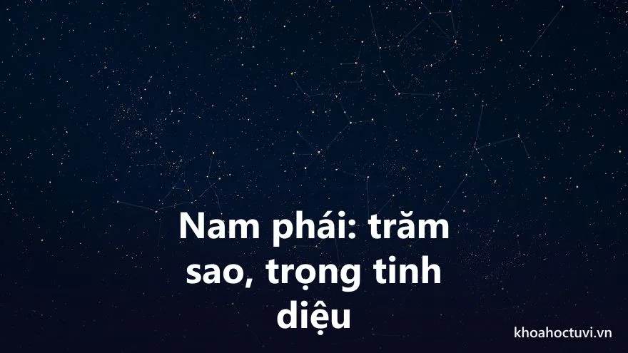 Tử vi Nam phái trọng tinh diệu với hàng trăm sao và hệ thần sát dày đặc trải trên mười hai cung