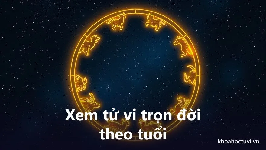 Xem tử vi trọn đời theo tuổi Can Chi — mỗi tuổi và giới tính cho cấu hình sao và nhịp Đại Vận riêng