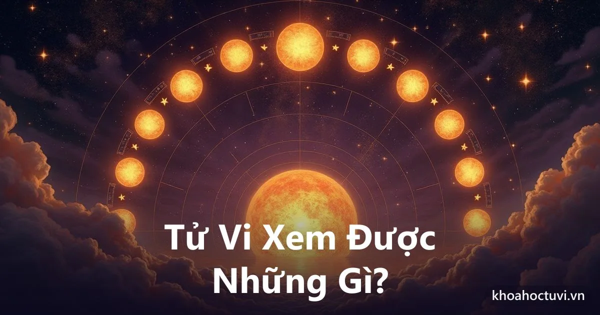 Tử Vi Xem Được Những Gì? Giải Đáp Đầy Đủ Và Trung Thực