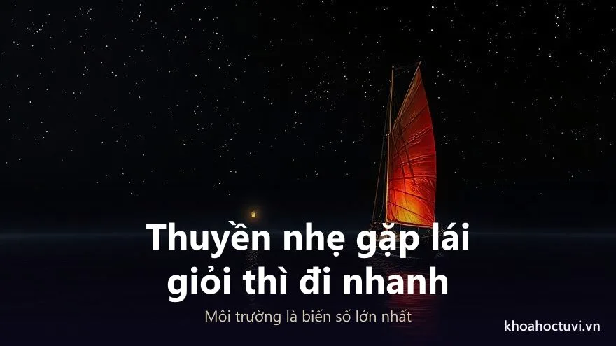 Bốn lưu ý khi luận cung vô chính diệu: xét thế tam hợp, trọng phụ tinh, đọc đủ hai vế câu phú và chọn đúng môi trường