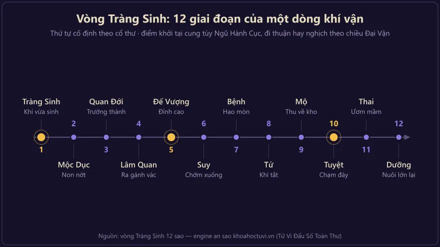 Sơ đồ dòng thời gian 12 giai đoạn vòng Tràng Sinh từ Tràng Sinh đến Dưỡng