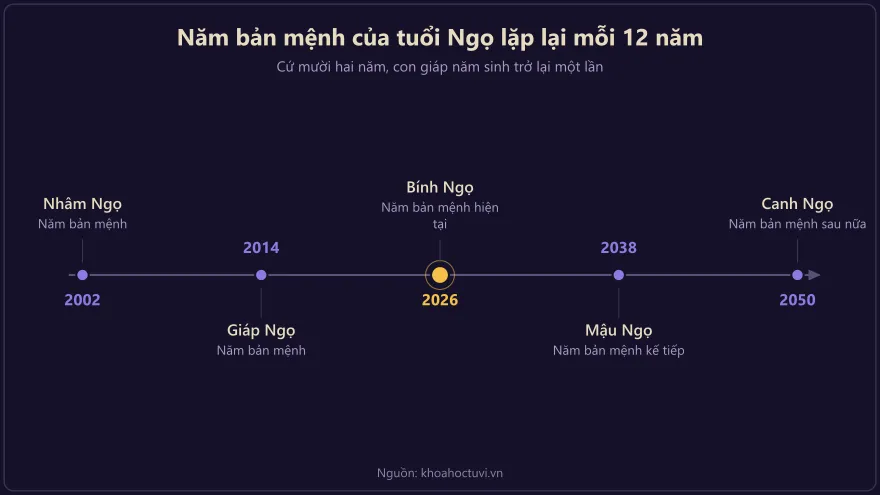 Dòng thời gian năm bản mệnh của tuổi Ngọ lặp lại mỗi mười hai năm: 2002, 2014, 2026, 2038, 2050